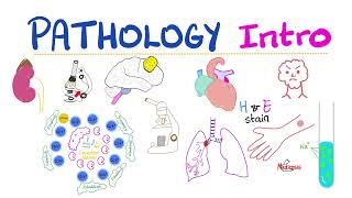 Pathology Intro - Biopsy, Autopsy, Specimen, Cell injury, Apoptosis, Necrosis, Inflammation, Hypoxia