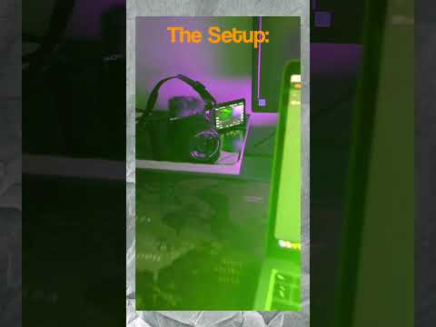 Sony ZVE-10 + LED Lights (setup vs shot)