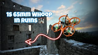 Diving Ruins on Swabian Alb with tinywhoop !