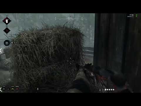 Hunt Showdown 27