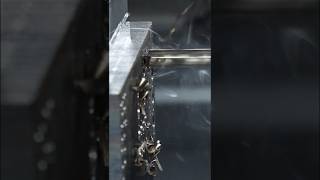 Uncovering the details with super slow & super zoom