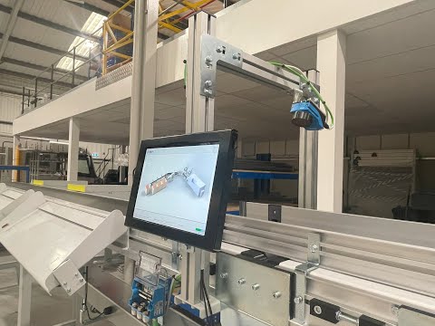 Axiom Downstream Automation on a Ranpak Flap'It