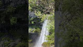 Weekend Wellspent #adayinmylife #hikingvlog #hikingadventure #weekendtrip #weeklyvlog #weekinmylife