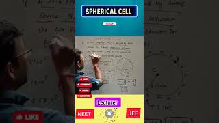 #neet2025 #potential #pyq #neetsolutions #jeemainsphysics #ukpsclecturer #polytechniclecturer #lt