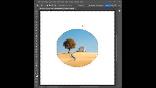 How to fill empty area on circle image in Photoshop(HD)