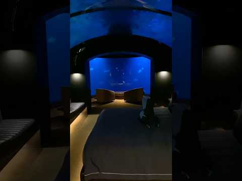 Underwater Hotel Room in the Maldives! 🐠 #maldives #travel #shorts
