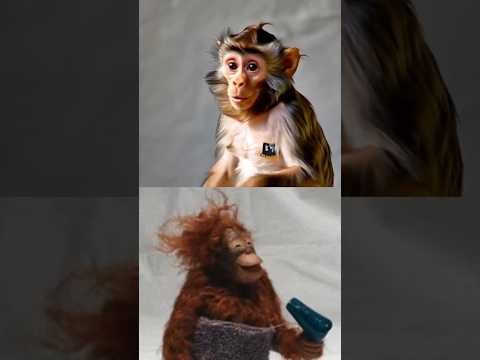 What is nodejs for monkeys #shorts #shortsyoutube