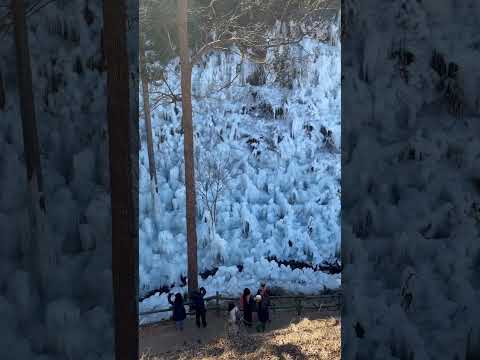 Ashigakubo icicles from ground. #ashigakubo #chichibu #healingnaturejapan #healingnature