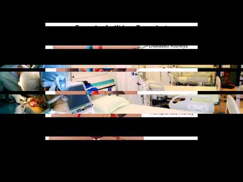 Kidney Transplant In India