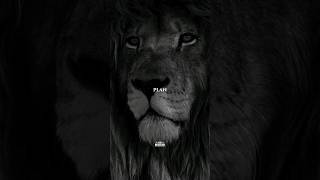 Trust God's Plan #motivation #shorts  #discipline