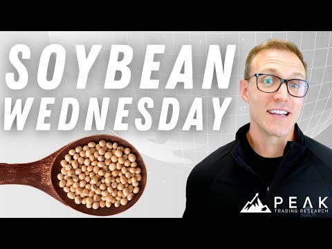 Should You Buy Soybeans on Wednesdays? | Strategy of the Month July 2022 | Soybean Trading Strategy