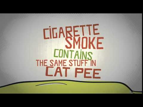 Cat pee stinks, and so do cigarettes