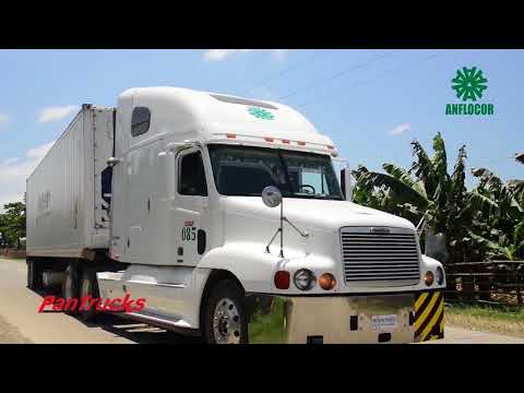 ANFLOCOR Corporate Video