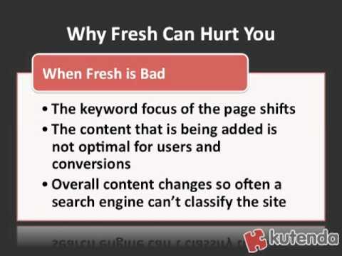 SEO Tip: Keep Your Content Fresh but Not Fuzzy