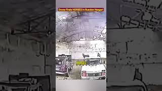 Ukrainian Drone Finds HORSES in Russian Hangar!