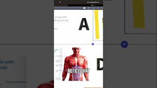 Mastering Mobile vs. Laptop View: Easy Add-On Tips