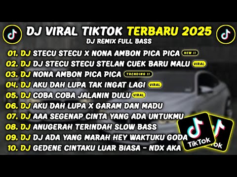 DJ TIKTOK TERBARU 2025🎵DJ STECU STECU X NONA AMBON PICA PICA🎵DJ STECU STECU STELAN CUEK VIRAL TIKTOK