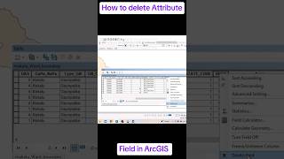 Delete Attribute field in ArcGIS #arcgis #arcgistutorial #shorts #shortsfeed #calmdown