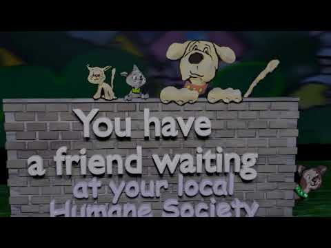 You have a friend waiting