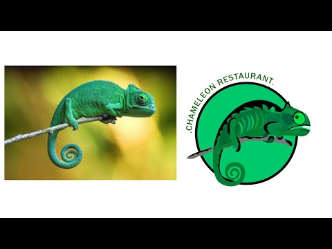 Illustrator Logo Design Tutorial | Chameleon Logo - I have done something different
