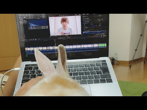 一緒に勉強しよう♪【遅刻】今日の動画これから全力で編集します😱😱