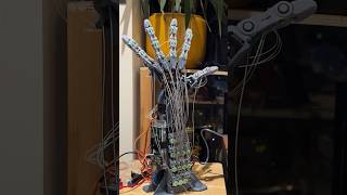 7 Years of Designing my Bionic Hand #engineering #3dprinting #robot
