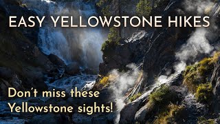 10 Easy Must-Do Hikes in Yellowstone National Park