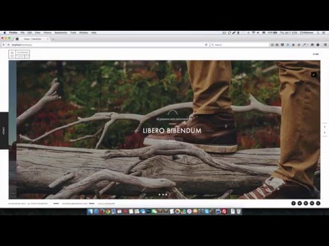 Install and Setup Theme