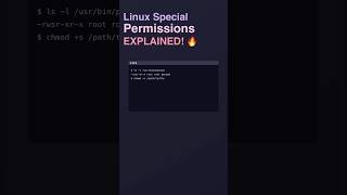Linux Special Permissions EXPLAINED! Sticky Bit, SUID, SGID 🔥