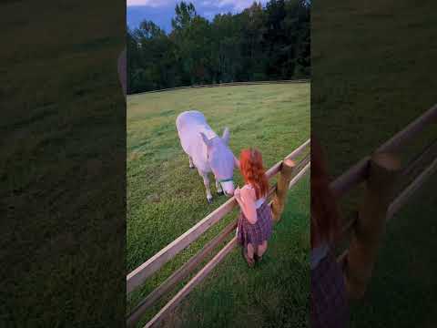 Evening vlog on the farm🌿✨ #cottagecore #country #slowliving