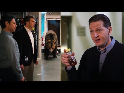 Bear is Sticky with Honey (Gavin Belson) Silicon Valley