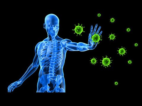 Phytochemicals Boosting Immunity