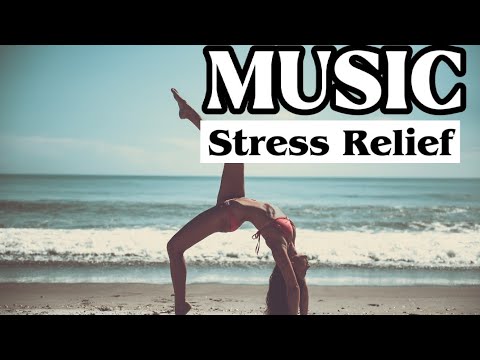 Stress Relief Music | Ambient | Meditation | Relaxing Space and Body Music | No Copyright| Study