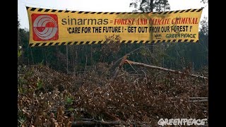 UNETHICAL ISSUES IN FINANCIAL REPORTING : SINAR MAS GROUP