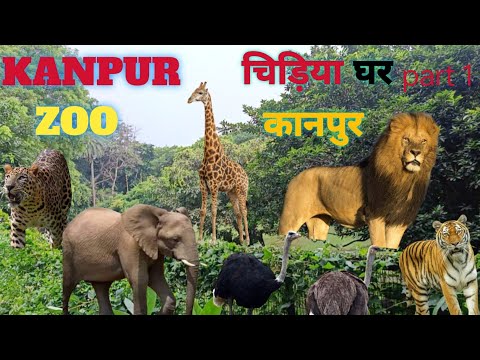 Geological park kanpur| kanpur chidiya Ghar| kanpur park| adventure park kanpur
