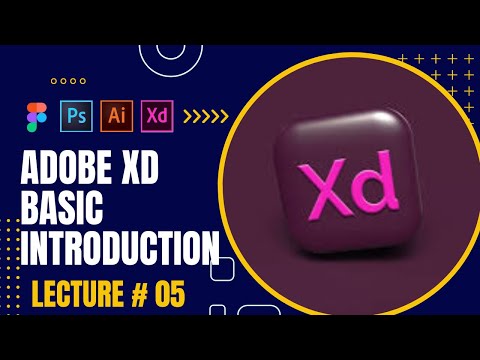 Lecture 05 | Adobe XD Basics | A Beginner's Guide to User Experience Design