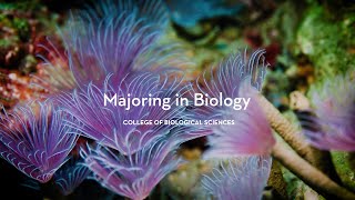 Biology major