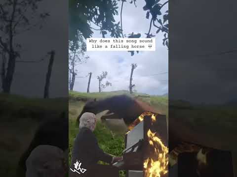Why does this audio sound like a falling horse 💀😭 #shorts #meme #comedy #horse