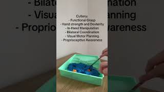 Bug Hunt Challenge: Boosting Kids’ Motor Skills!