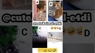 cute animals funny video trending shorts 😍PT-50 #cuteanimalsfunnyvideos​ #funnycomedyshorts #funnl