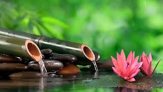 Música relajante de piano para spa 🌿 Música relajante para dormir, fuente de agua de bambú