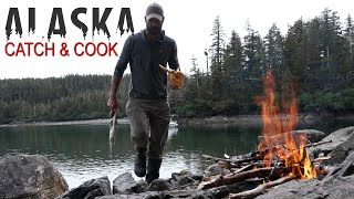 Join me as I Catch & Cook Wild Salmon on Remote Alaskan Stream!