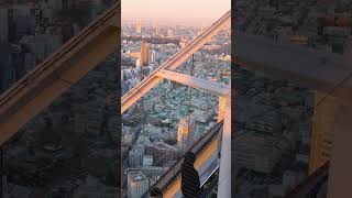 The BEST Cinematic View in Tokyo Revealed