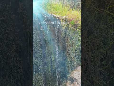 Chant vibratoire de l'âme - connexion à GAIA🌿 #chant #vibrationalhealing #healingsong