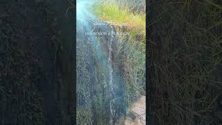 Chant vibratoire de l'âme - connexion à GAIA🌿 #chant #vibrationalhealing #healingsong