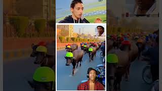 Introducing the "VitalWear SmartBand," a next-generation wearable gadget🎉