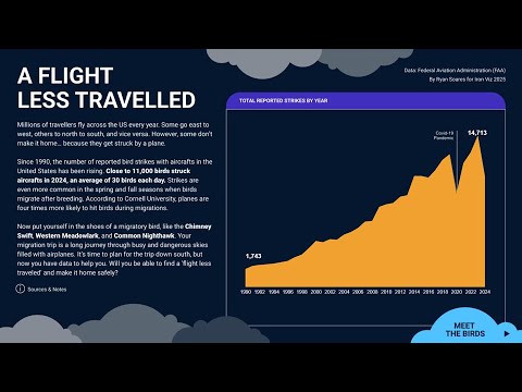 Epi 64 Iron Viz Special : A Flight Less Travelled
