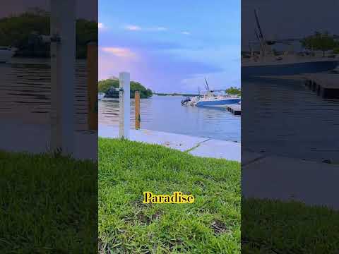 Paradise #keywest #floridaliving #floridarealestate #relocatetoflorida #yourrealtor #paradise ise