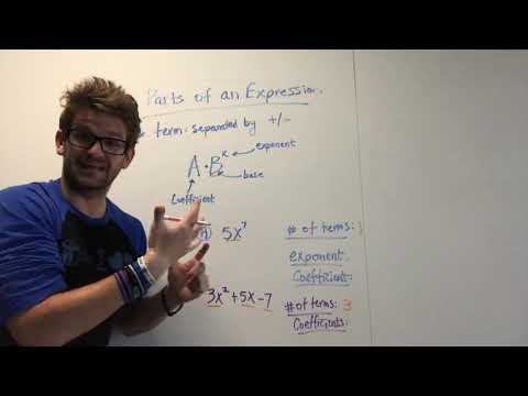 Parts of an Expression