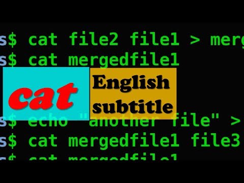 cat command and echo command examples